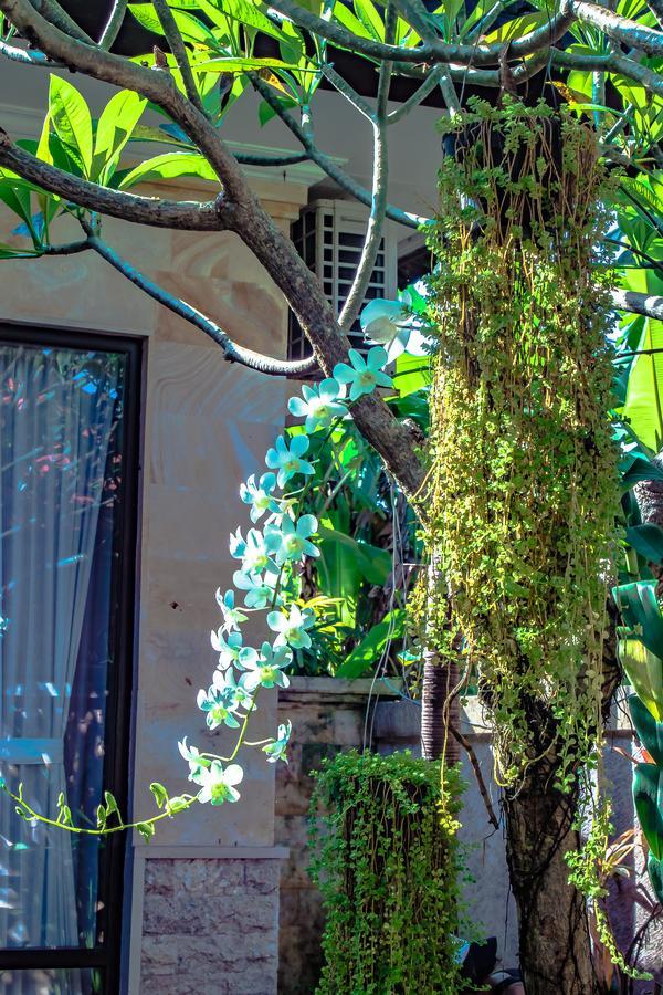 Villa Impian Canggu  Exterior photo