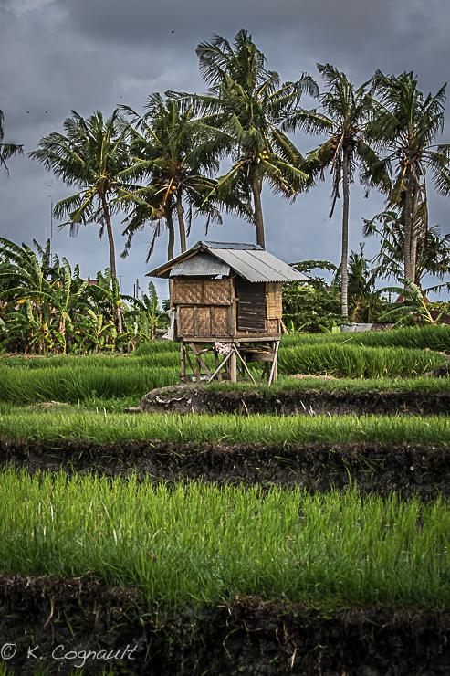 Villa Impian Canggu  Exterior photo